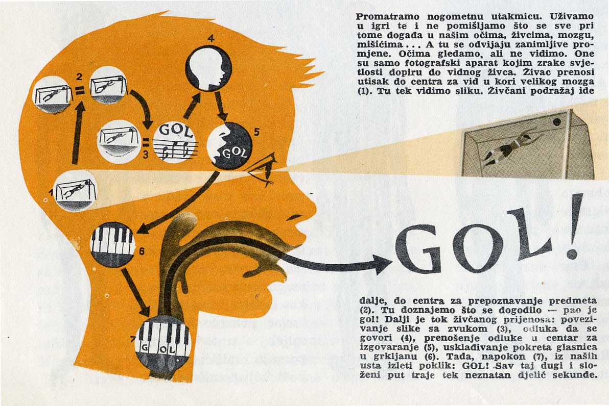 Jugo-enciklopedija: Svijet oko Nas